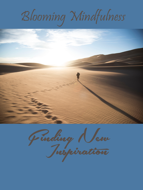 Picture of person waking in sand dunes with the title of the blog and article