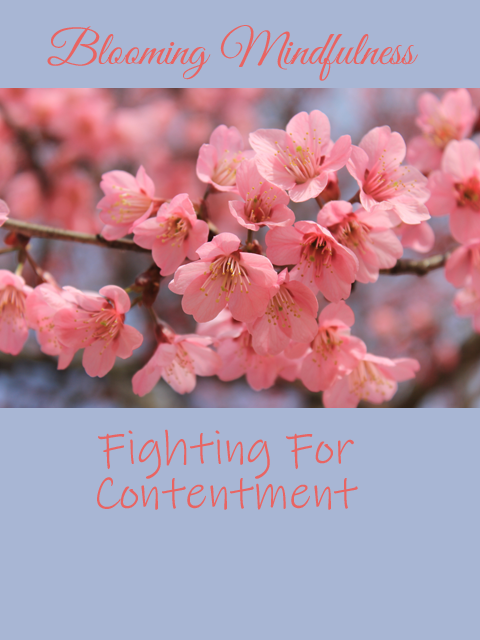 Picture is of pink cherry blossoms, written above this is the name of the blog and below is the title of the post written in pink against a sky blue background