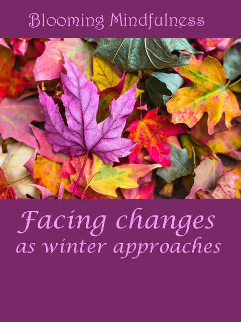 Picture shows brightly coloured autumnal leaves with the name of the blog written above, and the title of the post below.