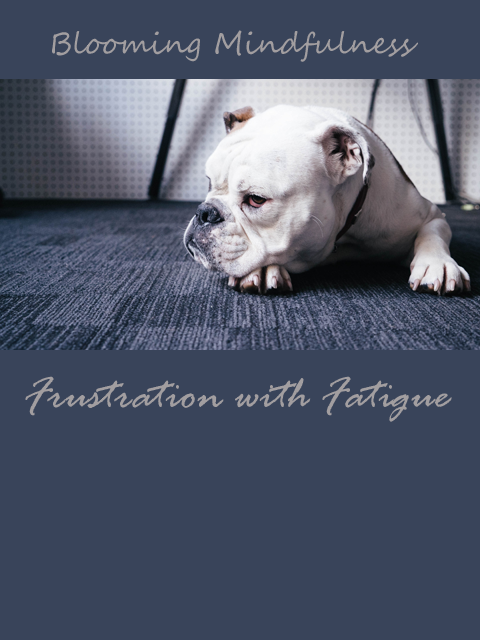 Frustration and fatigue