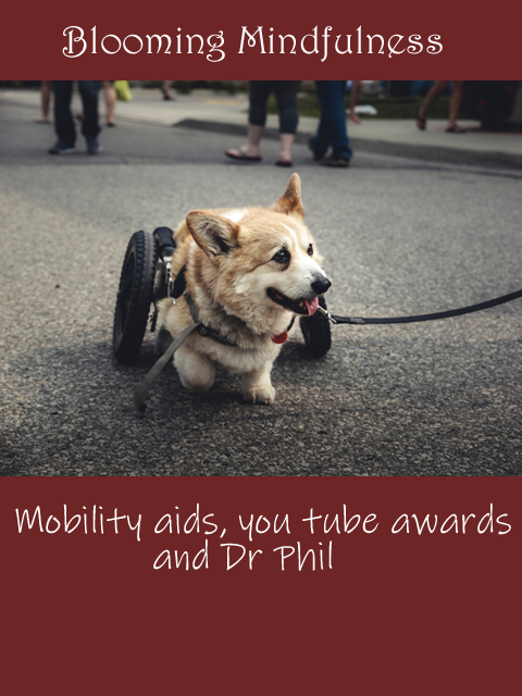 Mobility aids,You Tube awards and Dr Phil