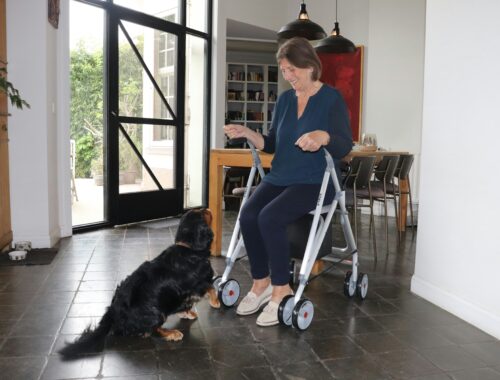 A woman is sat on her walker, she is in a kitchen and looking down at a dog at her feet to represent let's talk about mobility aids