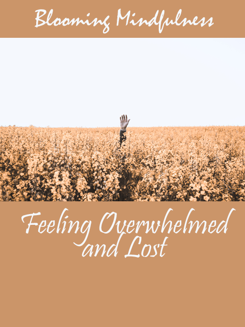 Feeling overwhelmed and lost