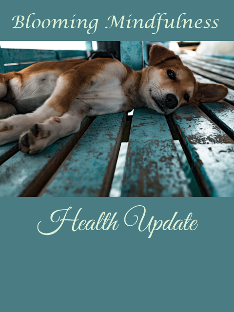 Health Update