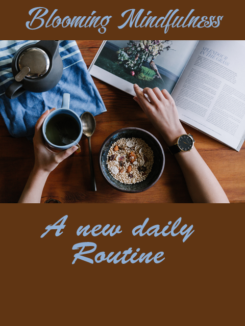 A new daily routine