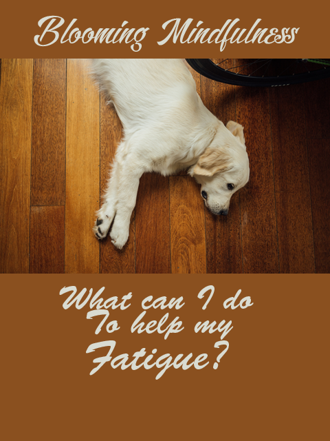 what can I do to help my fatigue?