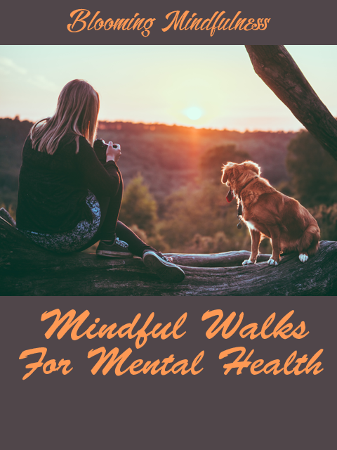 Mindful walks for mental health