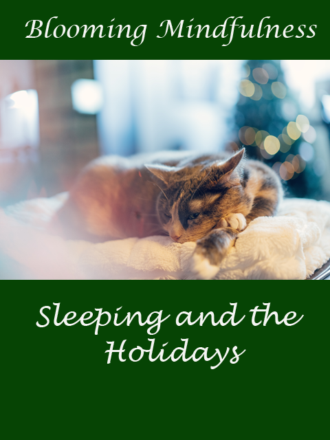 Sleeping and the holidays