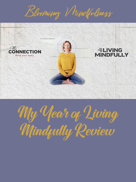My year of living mindfully review