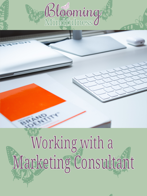 working with a marketing consultant