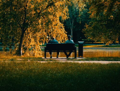 Two people seen from a distance talking on a bench. All around them are beautiful trees in autumnal colours to represent world suicide prevention day