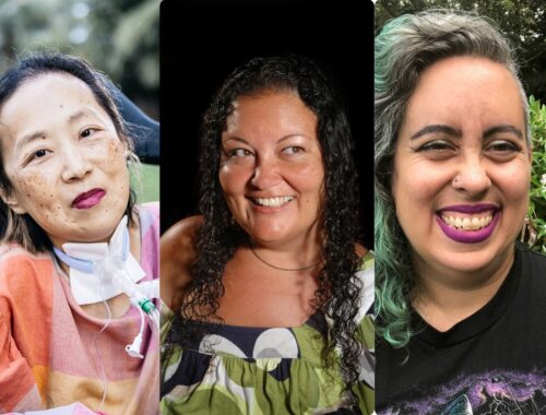 The picture shows the three activists mentioned in the post, Alice Wong then Patricia Berne and lastly Leah Lakshmi Piepzna-Samarasinha to represent disability history month